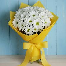 Букет цветов из:  Хризантемы в Вадинске