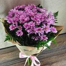 Букет цветов из:  Хризантемы #REPLACE_PRED# Вадинске