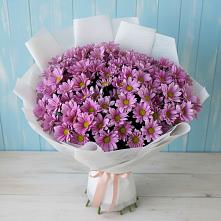 Букет цветов из:  Хризантемы в Вадинске