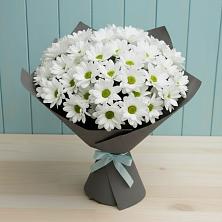 Букет цветов из:  Хризантемы в Вадинске