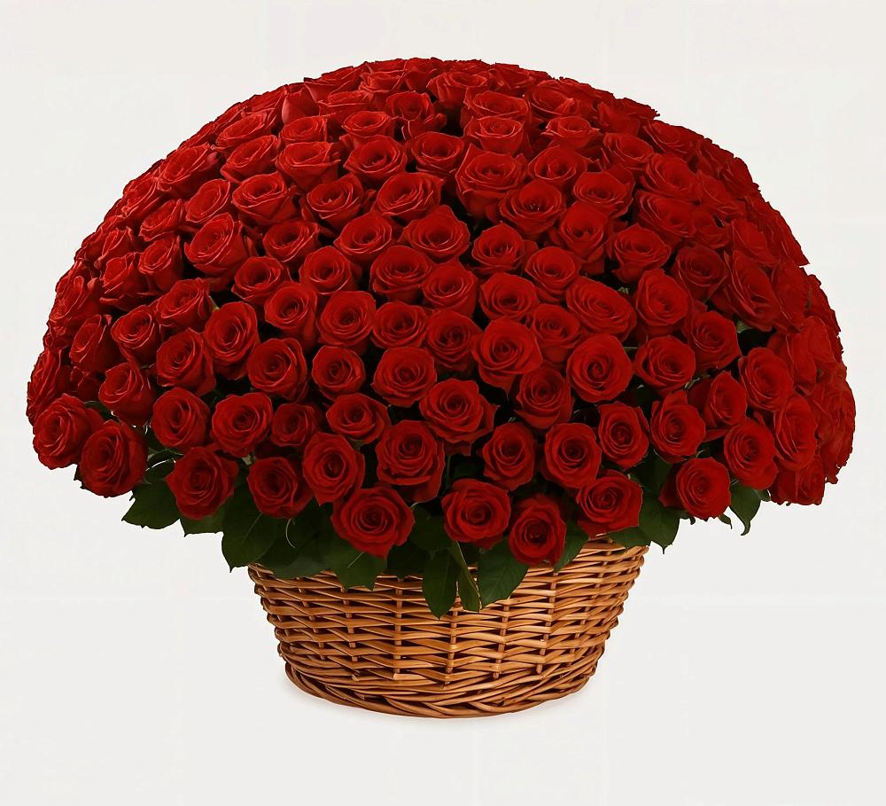 Премиум букет из: Розы в Вадинске