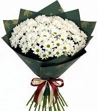 Букет цветов из:  Хризантемы в Вадинске