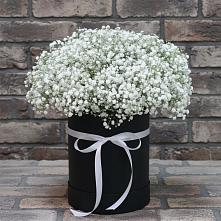 Цветочная композиция из Гипсофила в шляпной коробке в Вадинске
