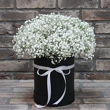 Цветочная композиция из Гипсофила в шляпной коробке в Вадинске