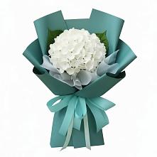 Букет цветов из:  Гортензия в Вадинске